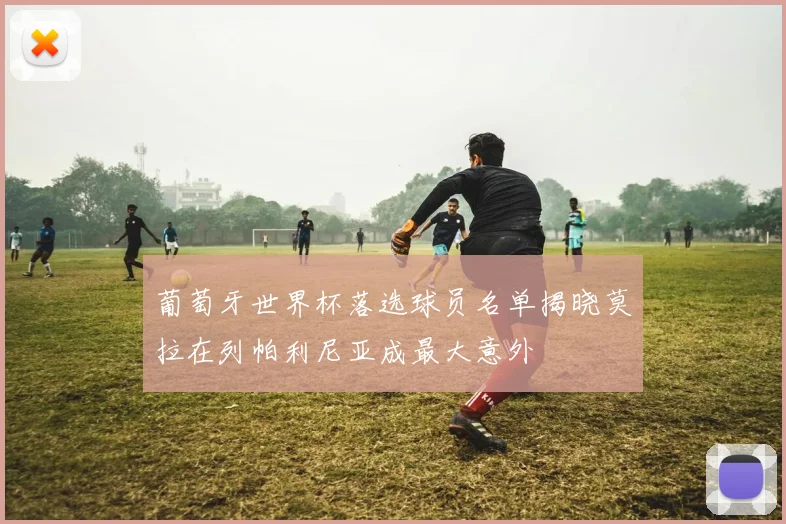葡萄牙世界杯落选球员名单揭晓莫拉在列帕利尼亚成最大意外